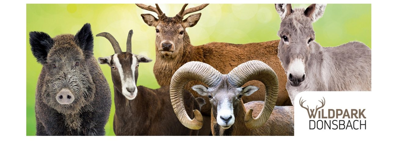WILDPARK DONSBACH – Zur Startseite